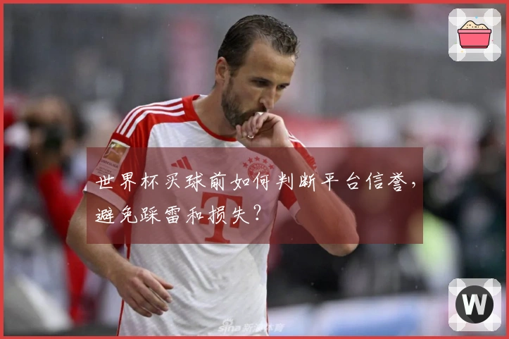 世界杯买球前如何判断平台信誉，避免踩雷和损失？