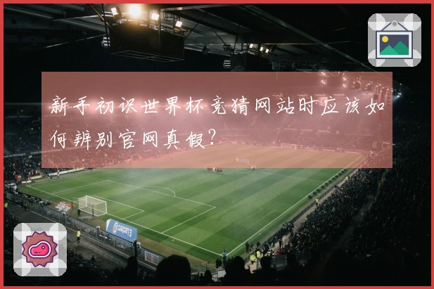 新手初识世界杯竞猜网站时应该如何辨别官网真假？