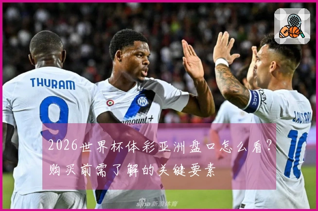 2026世界杯体彩亚洲盘口怎么看？购买前需了解的关键要素