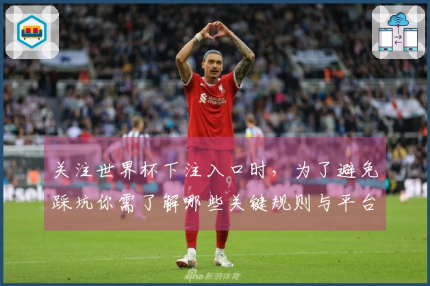 关注世界杯下注入口时，为了避免踩坑你需了解哪些关键规则与平台判断标准