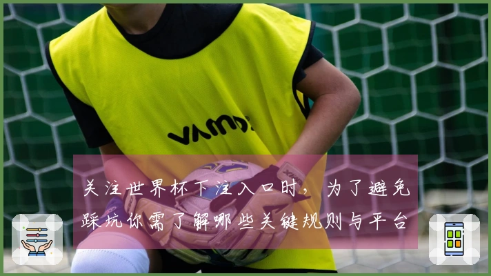 关注世界杯下注入口时，为了避免踩坑你需了解哪些关键规则与平台判断标准