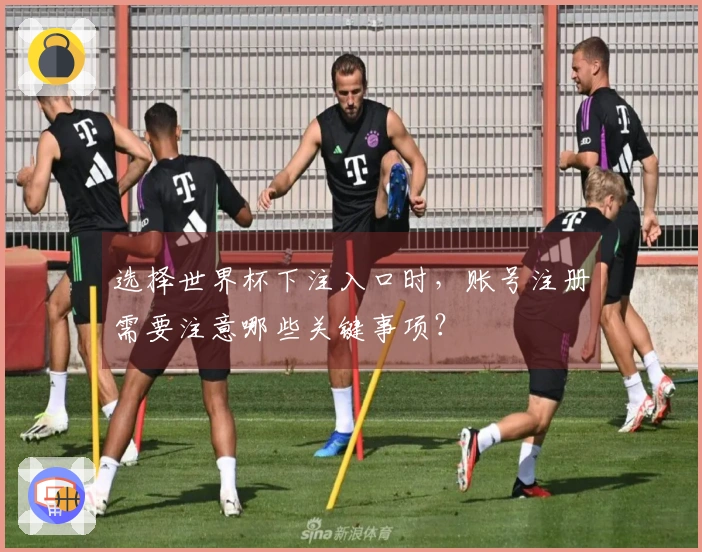 选择世界杯下注入口时，账号注册需要注意哪些关键事项？