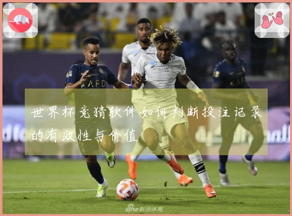 世界杯竞猜软件如何判断投注记录的有效性与价值