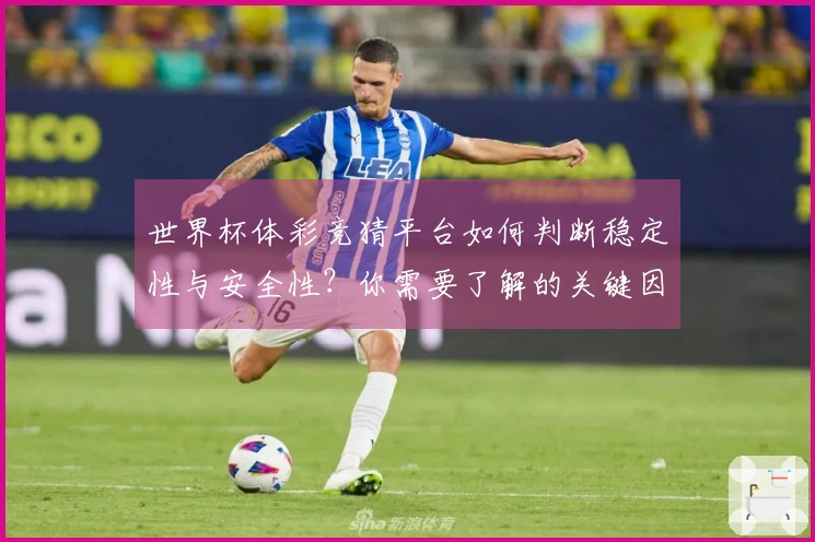 世界杯体彩竞猜平台如何判断稳定性与安全性？你需要了解的关键因素是什么