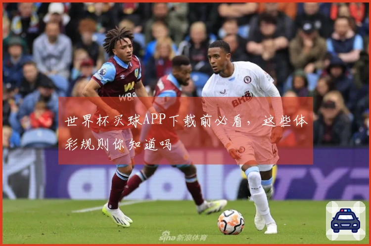 世界杯买球APP下载前必看，这些体彩规则你知道吗