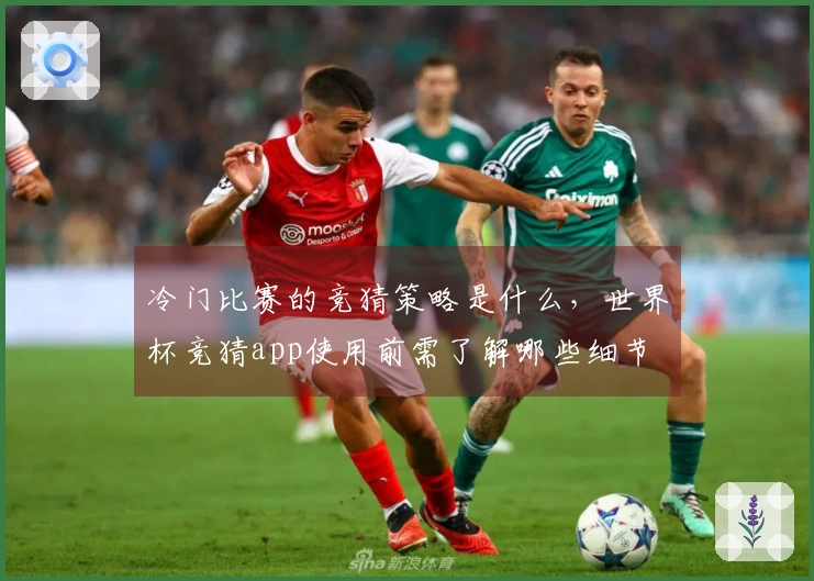 冷门比赛的竞猜策略是什么，世界杯竞猜app使用前需了解哪些细节