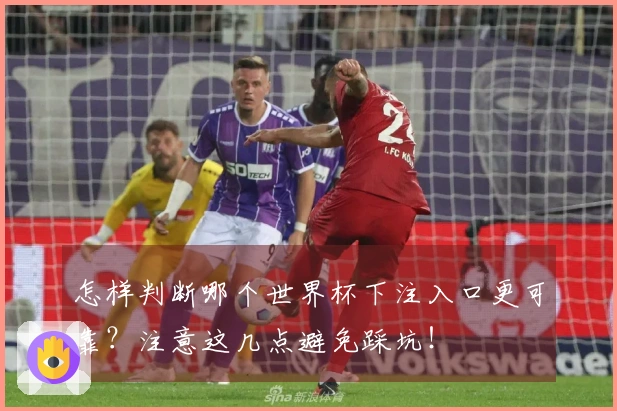 怎样判断哪个世界杯下注入口更可靠？注意这几点避免踩坑！