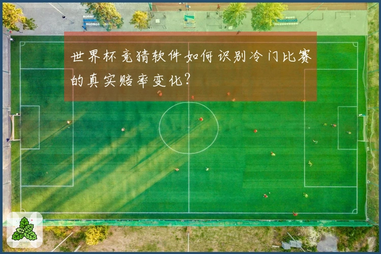 世界杯竞猜软件如何识别冷门比赛的真实赔率变化？