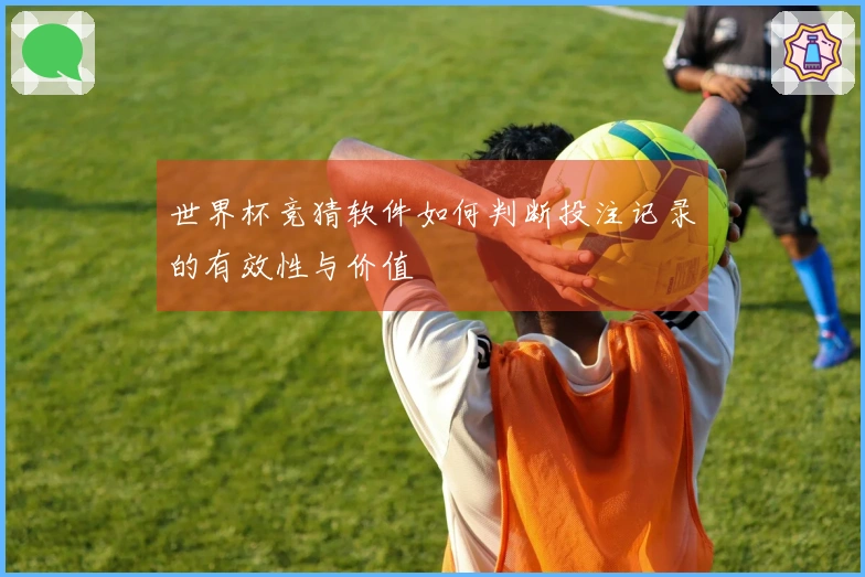 世界杯竞猜软件如何判断投注记录的有效性与价值