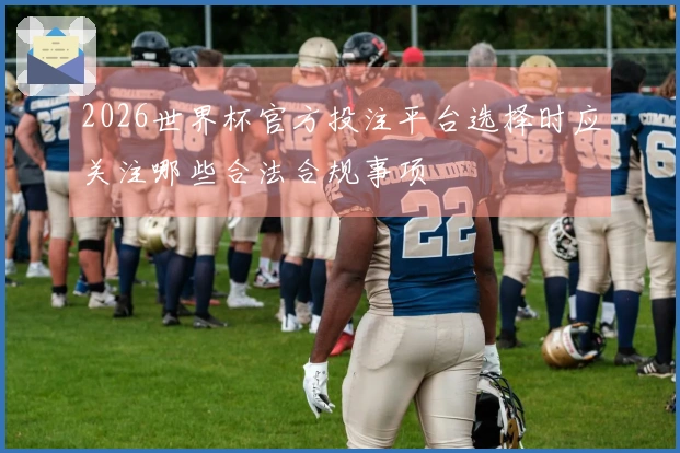 2026世界杯官方投注平台选择时应关注哪些合法合规事项