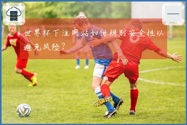 世界杯下注网站如何辨别安全性以避免风险？