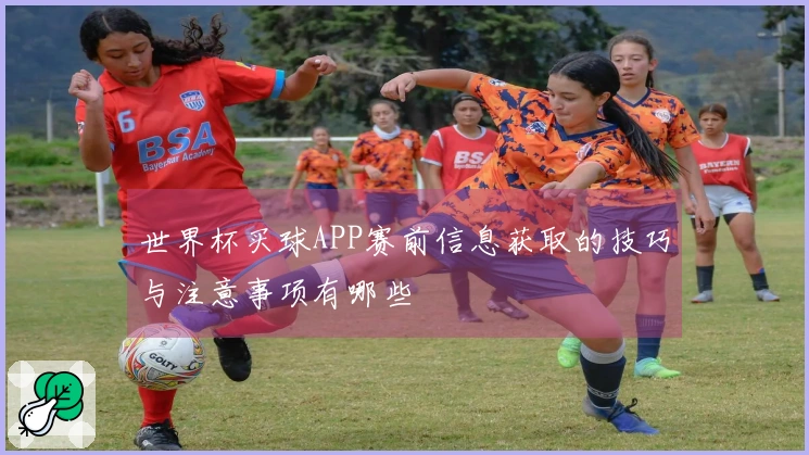 世界杯买球APP赛前信息获取的技巧与注意事项有哪些
