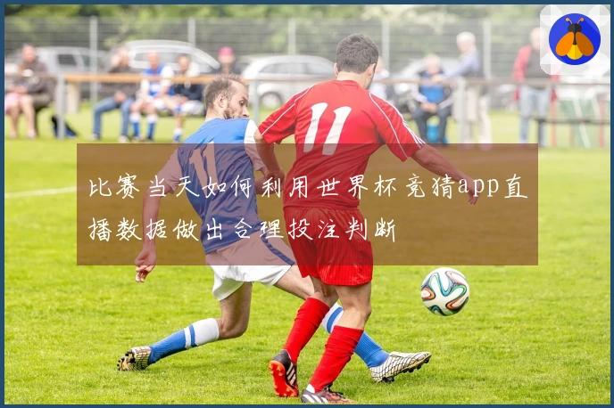 比赛当天如何利用世界杯竞猜app直播数据做出合理投注判断