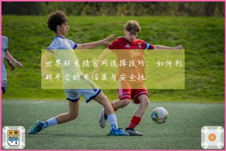 世界杯竞猜官网选择技巧：如何判断平台的可信度与安全性