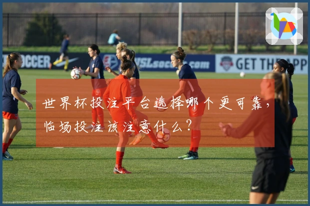 世界杯投注平台选择哪个更可靠，临场投注该注意什么？