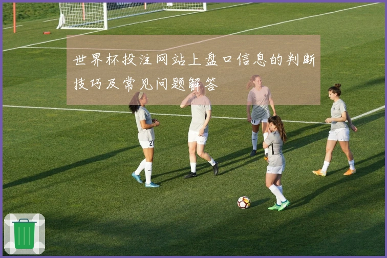 世界杯投注网站上盘口信息的判断技巧及常见问题解答