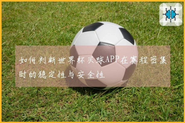如何判断世界杯买球APP在赛程密集时的稳定性与安全性