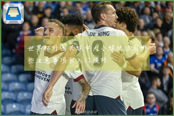 世界杯外围买球中大小球玩法有哪些注意事项和入门技巧