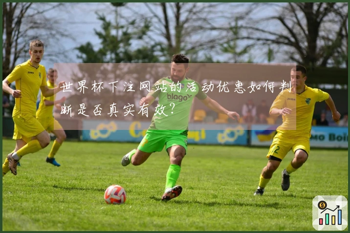 世界杯下注网站的活动优惠如何判断是否真实有效？
