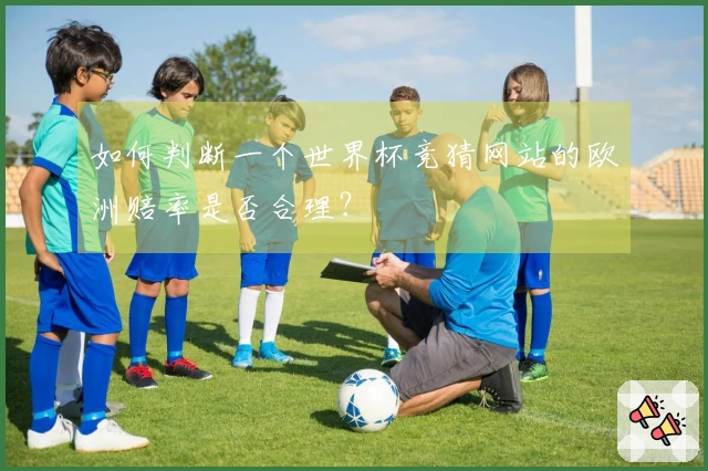 如何判断一个世界杯竞猜网站的欧洲赔率是否合理？