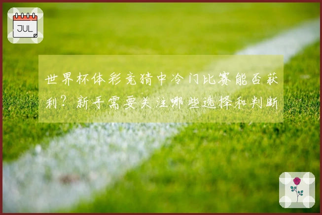 世界杯体彩竞猜中冷门比赛能否获利？新手需要关注哪些选择和判断要点？