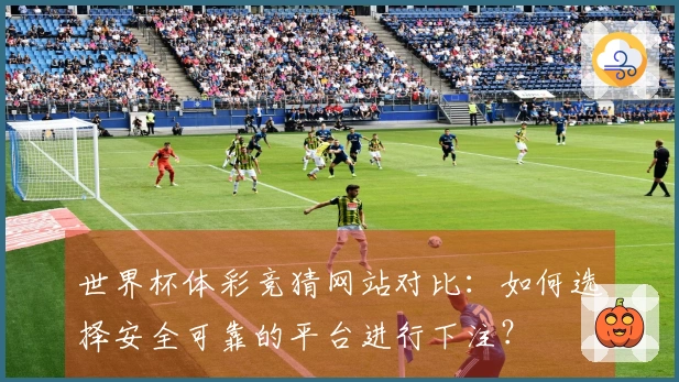 世界杯体彩竞猜网站对比：如何选择安全可靠的平台进行下注？