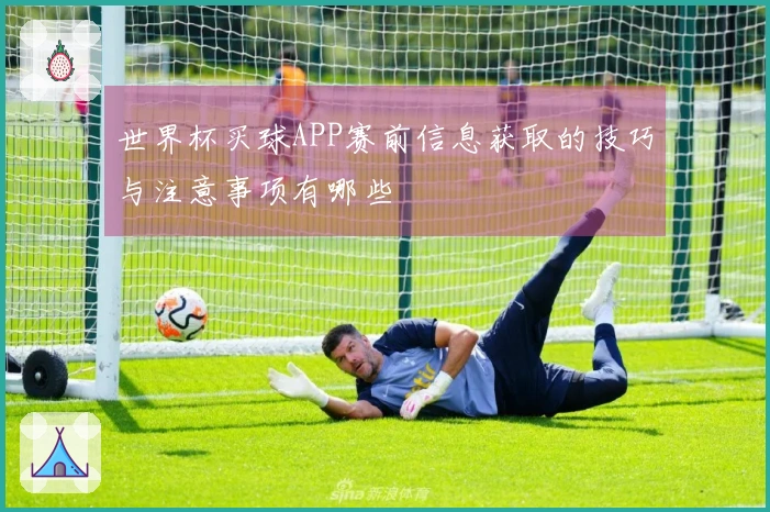 世界杯买球APP赛前信息获取的技巧与注意事项有哪些