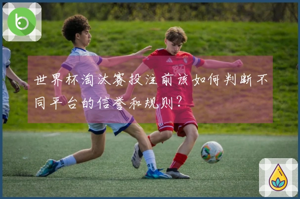 世界杯淘汰赛投注前该如何判断不同平台的信誉和规则？