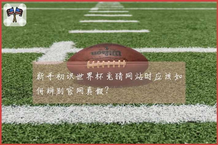 新手初识世界杯竞猜网站时应该如何辨别官网真假？