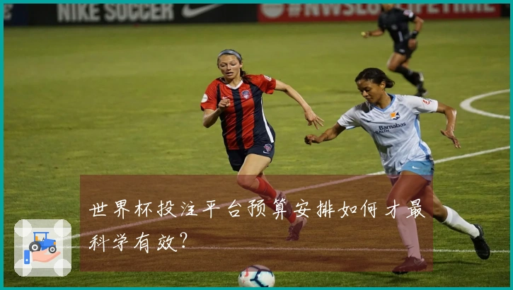 世界杯投注平台预算安排如何才最科学有效？