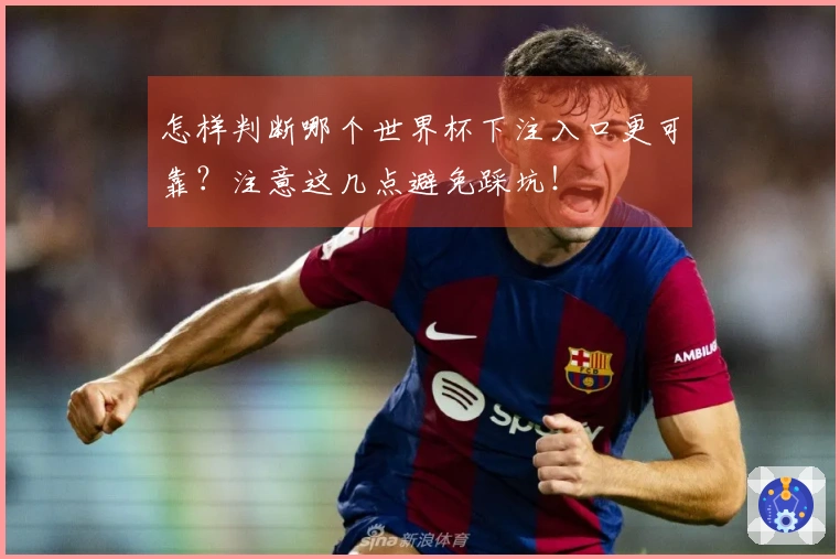 怎样判断哪个世界杯下注入口更可靠？注意这几点避免踩坑！
