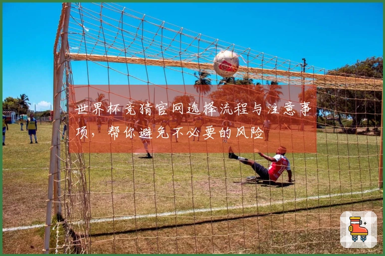 世界杯竞猜官网选择流程与注意事项，帮你避免不必要的风险