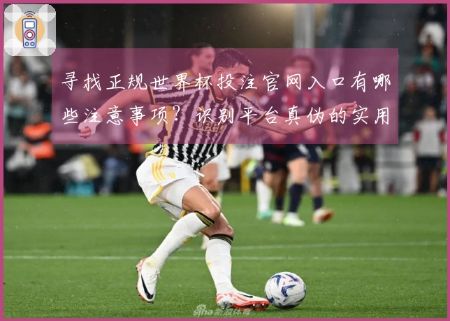 寻找正规世界杯投注官网入口有哪些注意事项？识别平台真伪的实用方法