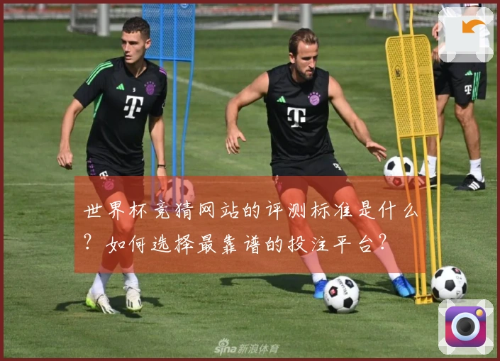 世界杯竞猜网站的评测标准是什么？如何选择最靠谱的投注平台？