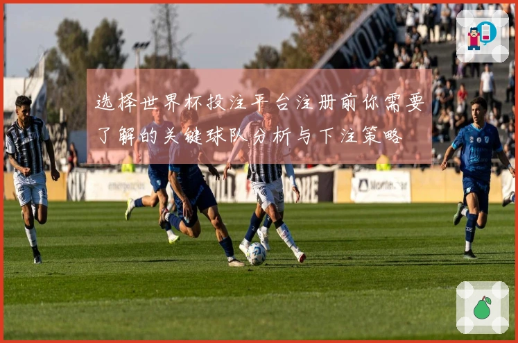 选择世界杯投注平台注册前你需要了解的关键球队分析与下注策略