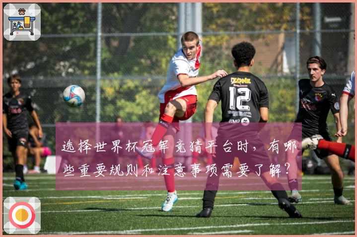 选择世界杯冠军竞猜平台时，有哪些重要规则和注意事项需要了解？