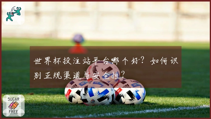 世界杯投注站平台哪个好？如何识别正规渠道与安全性？